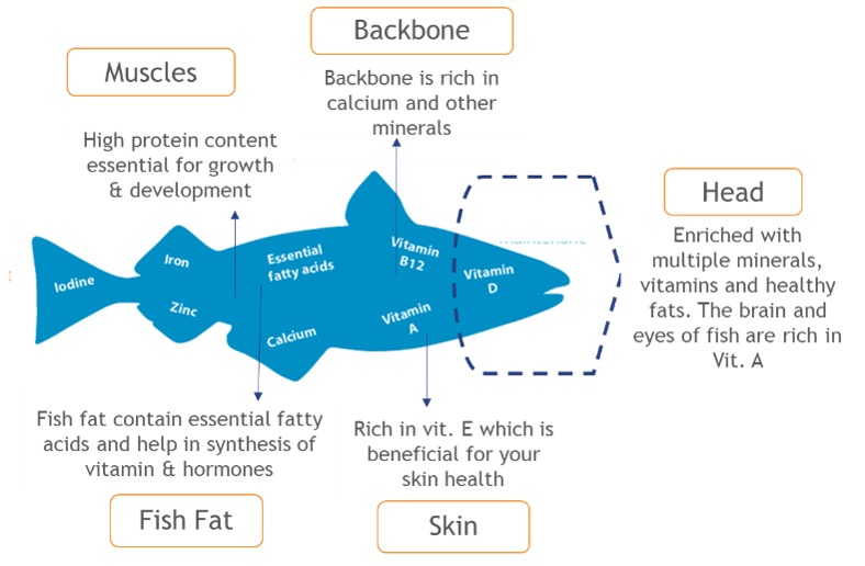 Figure 2: Nutrition from fish (UN Nutrition, 2021)
