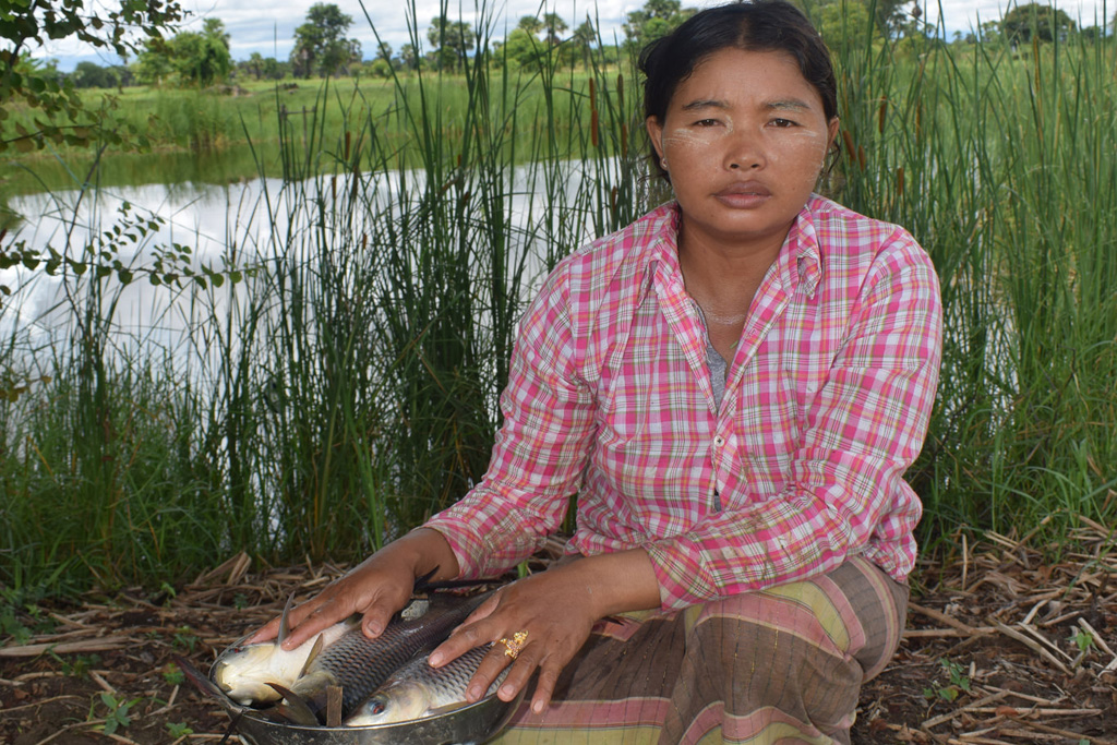 Small-scale aquaculture improves the lives of farmers in Myanmar