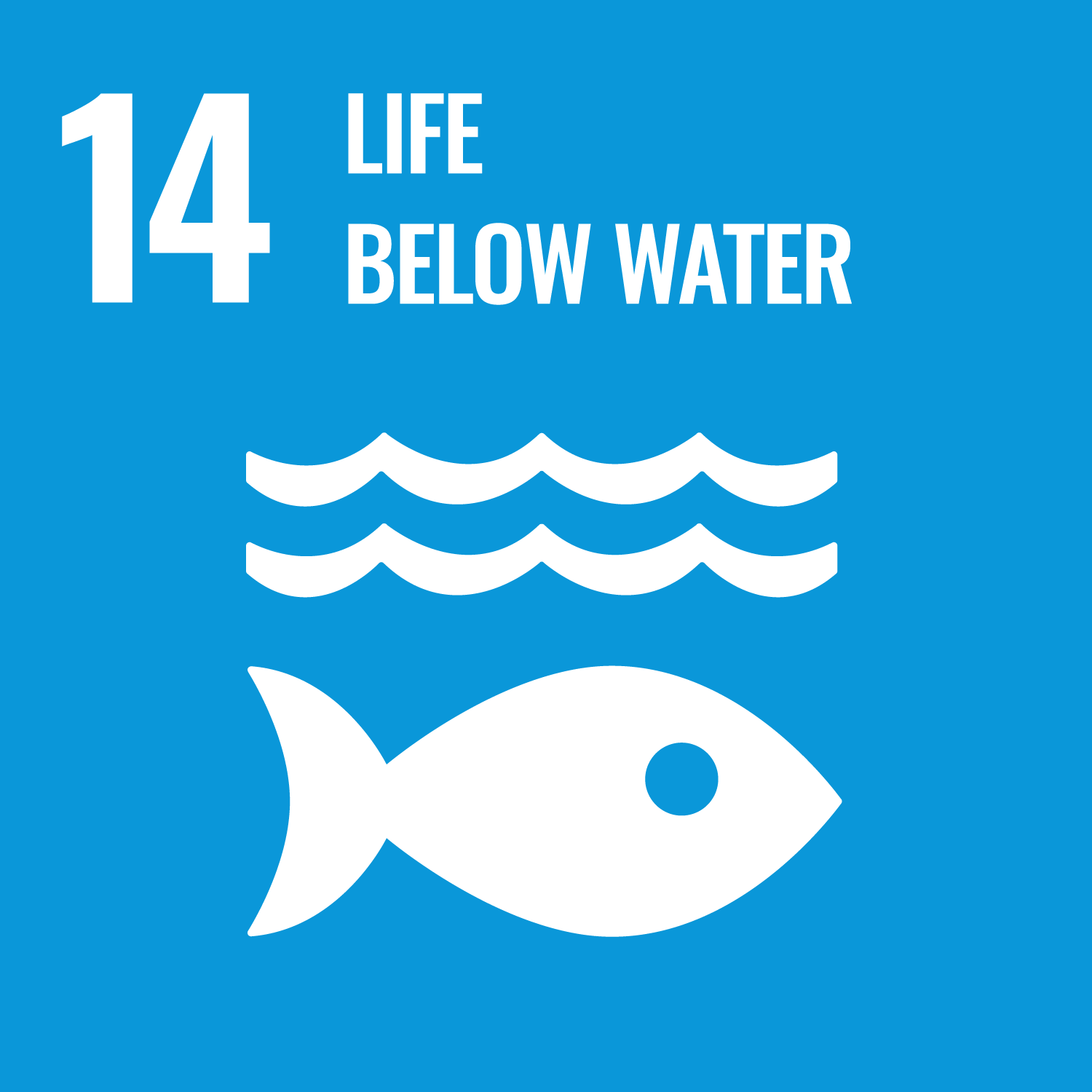14 Life Below Water SDG