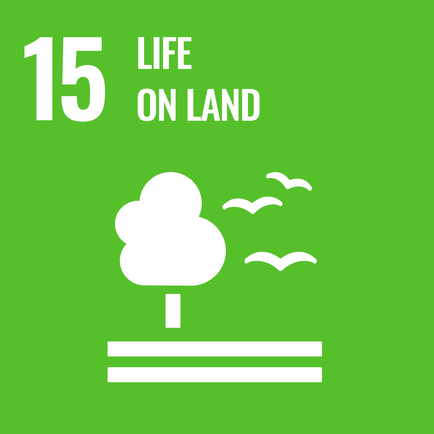 15 Life Below Land SDG
