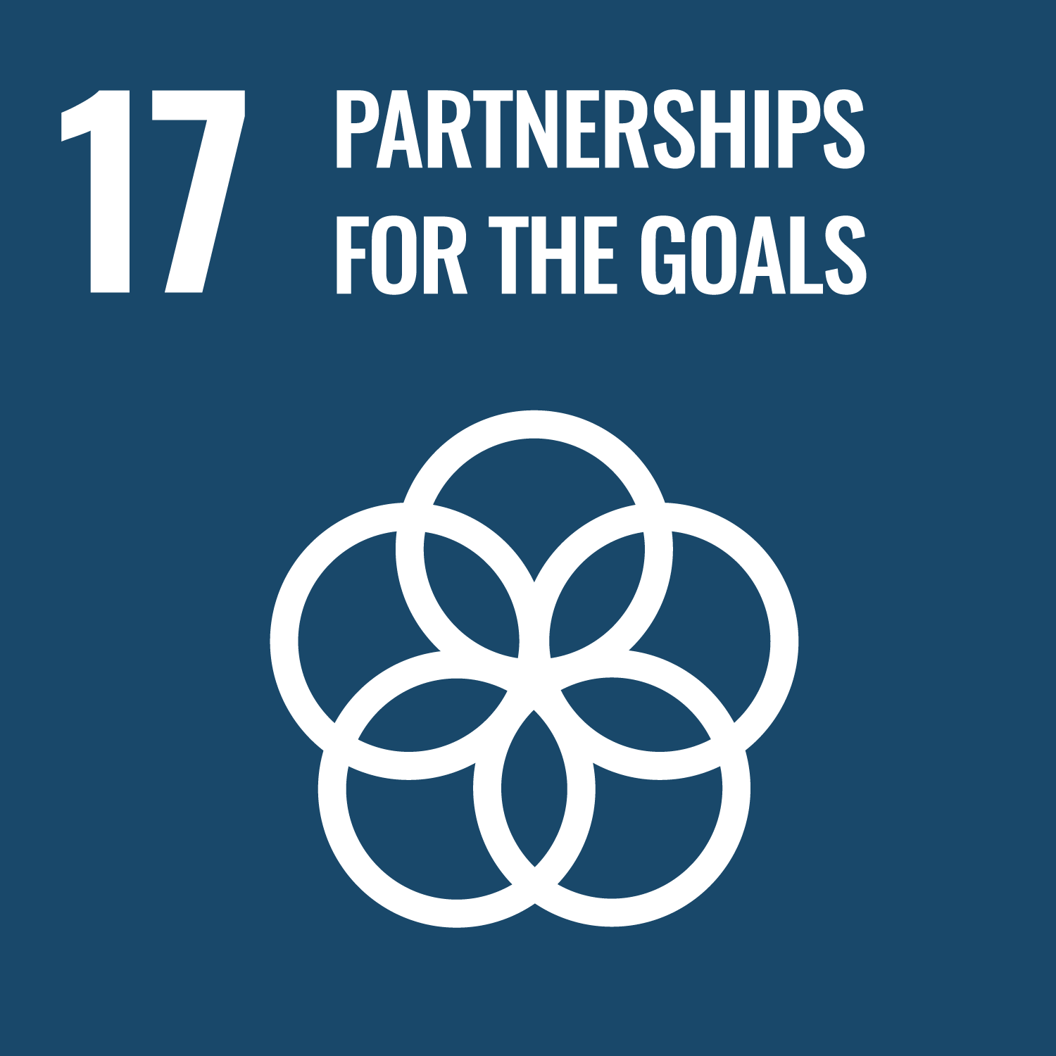 17 Partnerships for the Goals SDG