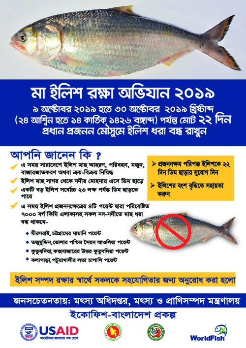 Mother hilsa conservation messages (Bangla version)
