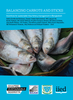 Balancing carrots and sticks: incentives for sustainable hilsa fishery management in Bangladesh