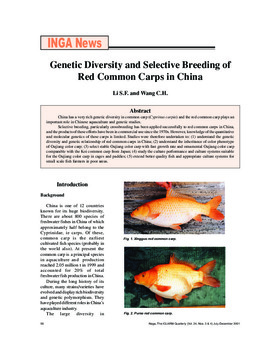 Genetic diversity and selective breeding of red common carps in China