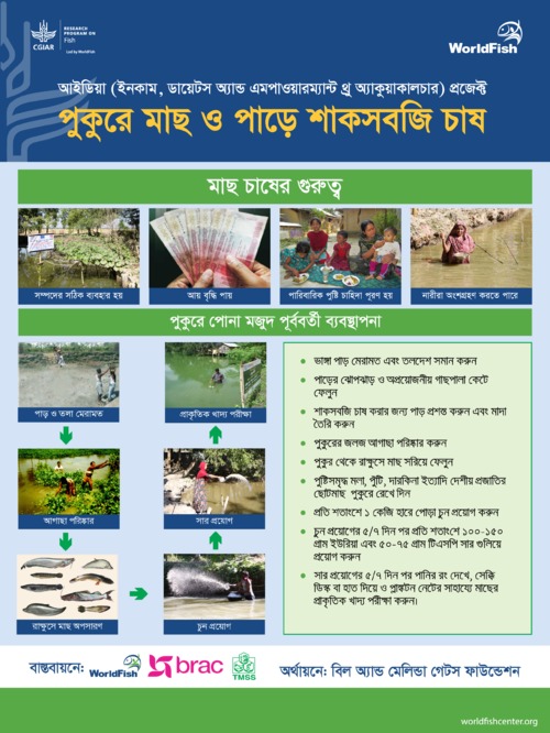 Festoons on aquaculture practice (pre-stocking, stocking and post stocking) (Bangla version)