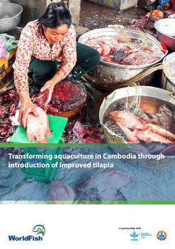 Transforming aquaculture in Cambodia through introduction of improved tilapia