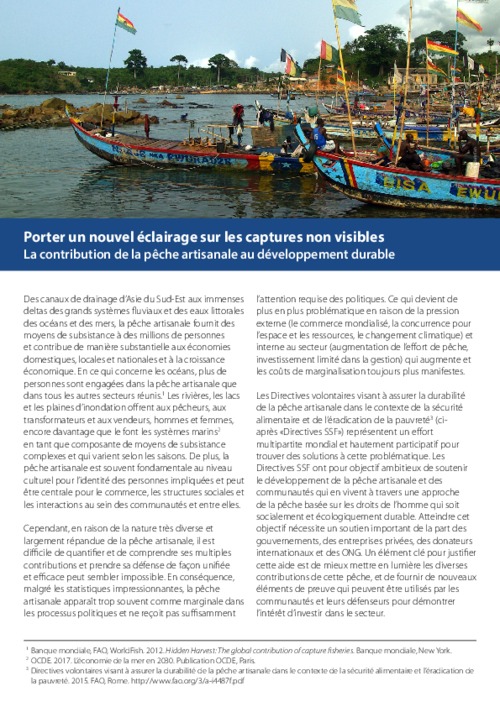 Porter un nouvel éclairage sur les captures non visibles: La contribution de la pêche artisanale au développement durable