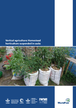 Vertical agriculture: Homestead horticulture suspended in sacks