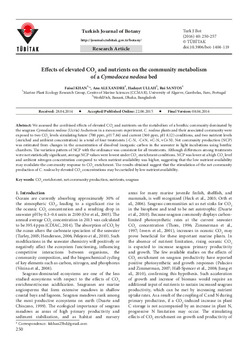 Effects of elevated CO2 and nutrients on the community metabolism of a Cymodocea nodosa bed