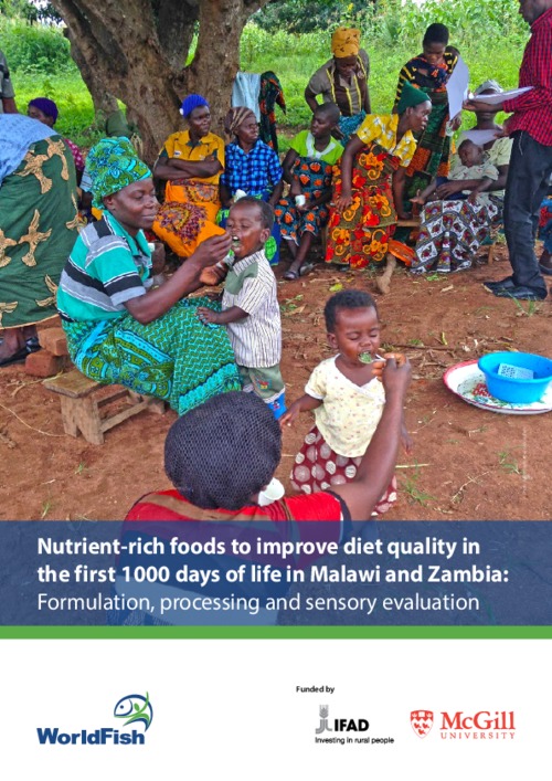 Nutrient-rich foods to improve diet quality in the first 1000 days of life in Malawi and Zambia: Formulation, processing and sensory evaluation