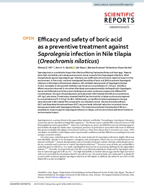 Efficacy and safety of boric acid as a preventive treatment against Saprolegnia infection in Nile tilapia (Oreochromis niloticus)
