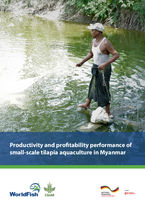 Productivity and profitability of small-scale tilapia aquaculture in Myanmar
