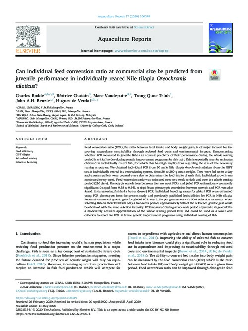 Can individual feed conversion ratio at commercial size be predicted from juvenile performance in individually reared Nile tilapia Oreochromis niloticus?