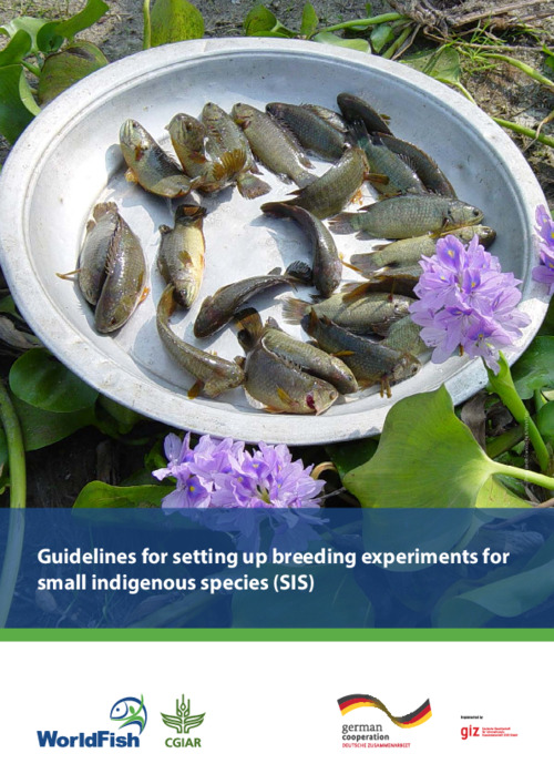 Guidelines for setting up breeding experiments for small indigenous species  (SIS) | WorldFish