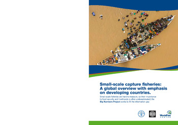 Small-scale capture fisheries: a global overview with emphasis on developing countries: a preliminary report of the Big Numbers Project