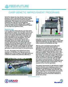 Carp Genetic Improvement Programs