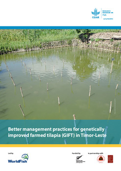 Better management practices for genetically improved farmed tilapia (GIFT) in Timor-Leste