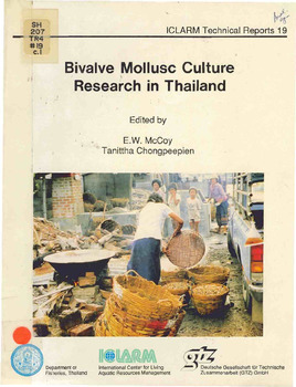 Bivalve mollusc culture research in Thailand