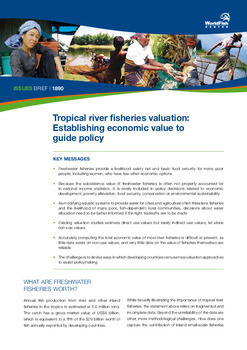 Tropical river fisheries valuation: establishing economic value to guide policy