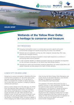 Wetlands of the Yellow River Delta: a heritage to conserve and treasure