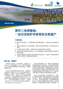 Wetlands of the Yellow River Delta: a heritage to conserve and treasure [chinese version]
