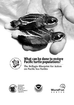 What can be done to restore Pacific turtle populations?: The Bellagio blueprint for action on Pacific sea turtles