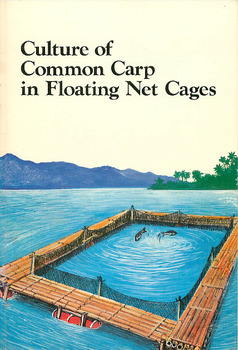 Culture of common carp in floating net cages