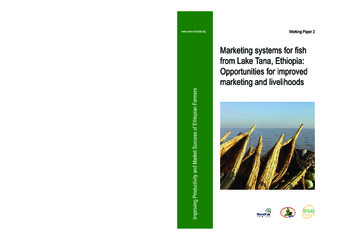 Marketing systems for fish from Lake Tana, Ethiopia: opportunities for improved marketing and livelihoods