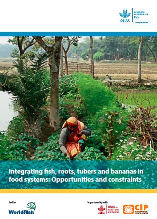 Integrating fish, roots, tubers and bananas in food systems: Opportunities and constraints