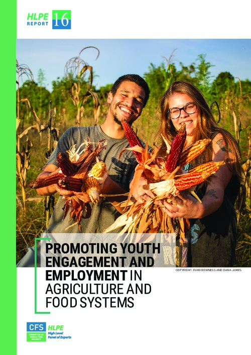 Promoting Youth Engagement and Employment in Agriculture and Food Systems