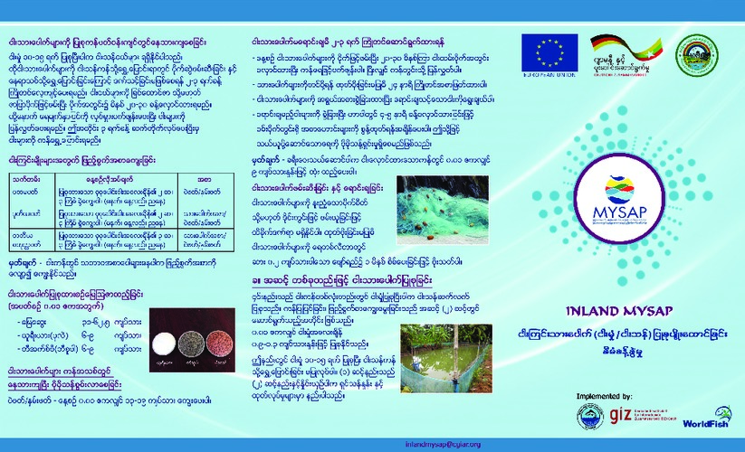 Pond nursing of carp fish species (Burmese version)