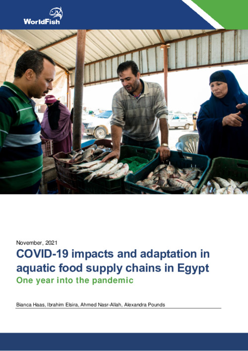 COVID-19 impacts and adaptation in aquatic food supply chains in Egypt - One year into the pandemic