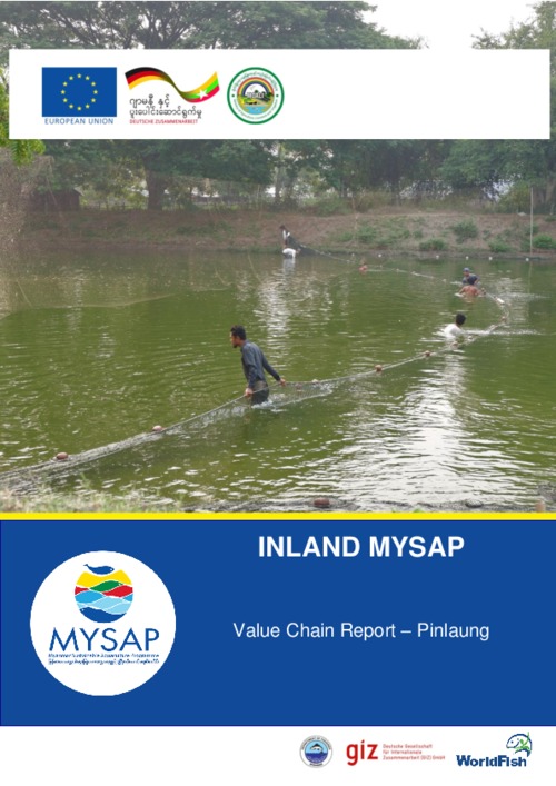 Inland MYSAP: Value chain report - Pinlaung