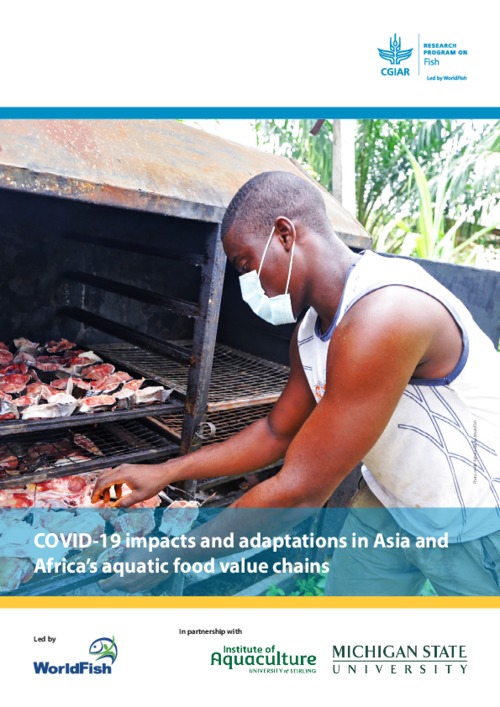 COVID-19 impacts and adaptations in Asia and Africa’s aquatic food value chains