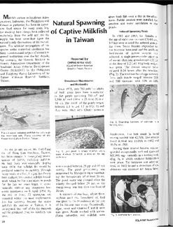 Natural spawning of captive milkfish in Taiwan