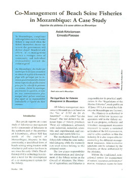 Co-management of beach seine fisheries in Mozambique: a case study