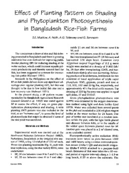 Effect of planting pattern on shading and phytoplankton photosynthesis in Bangladesh rice-fish farms