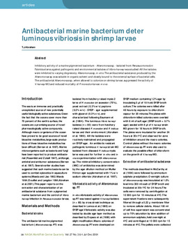 Antibacterial marine bacterium deter luminous vibriosis in shrimp larvae