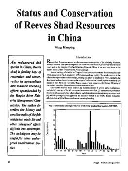 Status and conservation of Reeves shad resources in China
