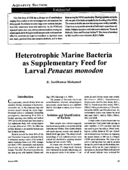Heterotrophic marine bacteria as supplementary feed for larval Penaeus monodon