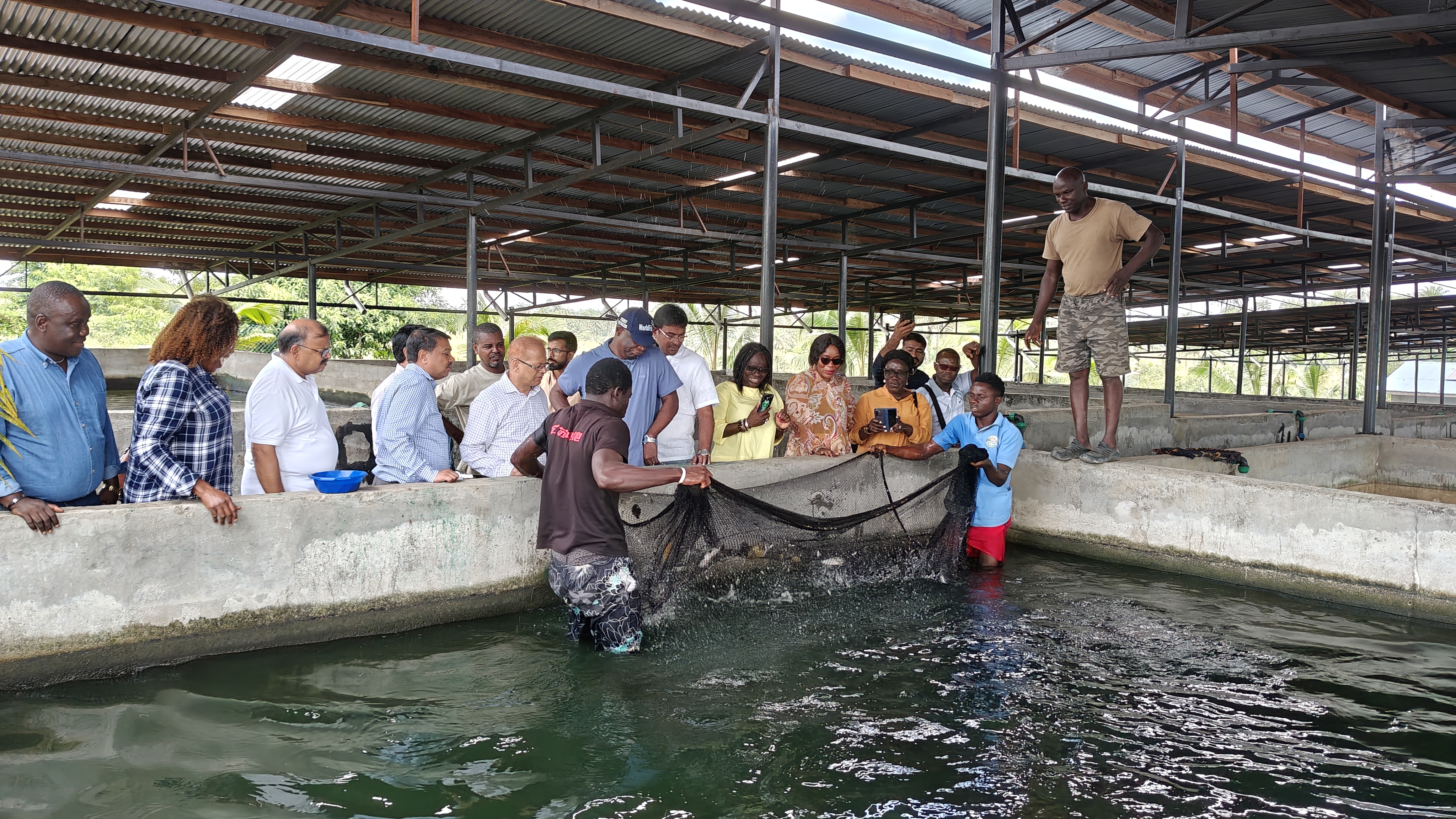 Field visit to the Presidential Fish Farm in Sierra Leone during the India–Africa–WorldFish Aquaculture Roundtable.
