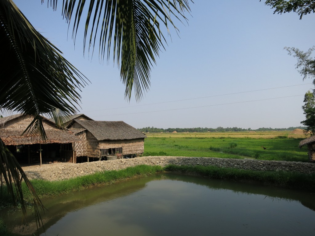 Fish pond in Dedaye Township, Ayeyarwaddy Delta Region, Myanmar. Photo by Zizawah.