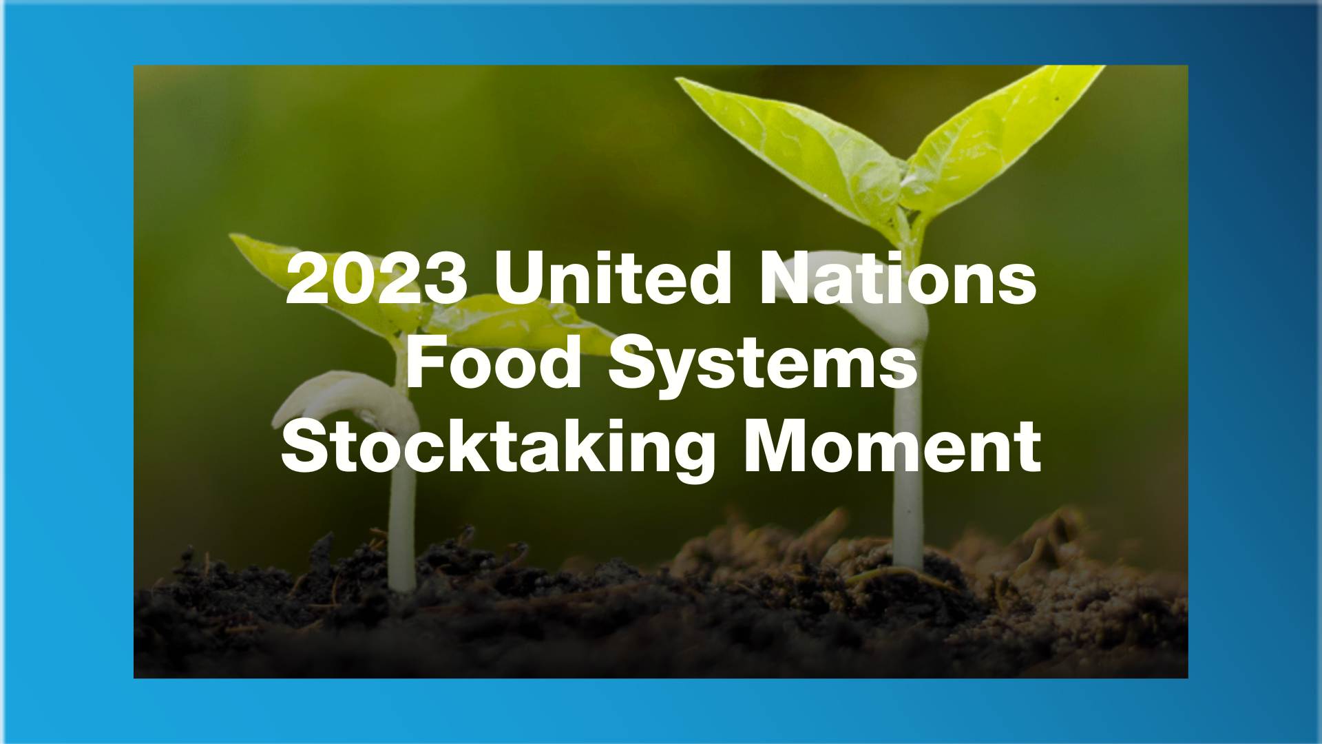 2023 UN Food Systems Stocktaking Moment