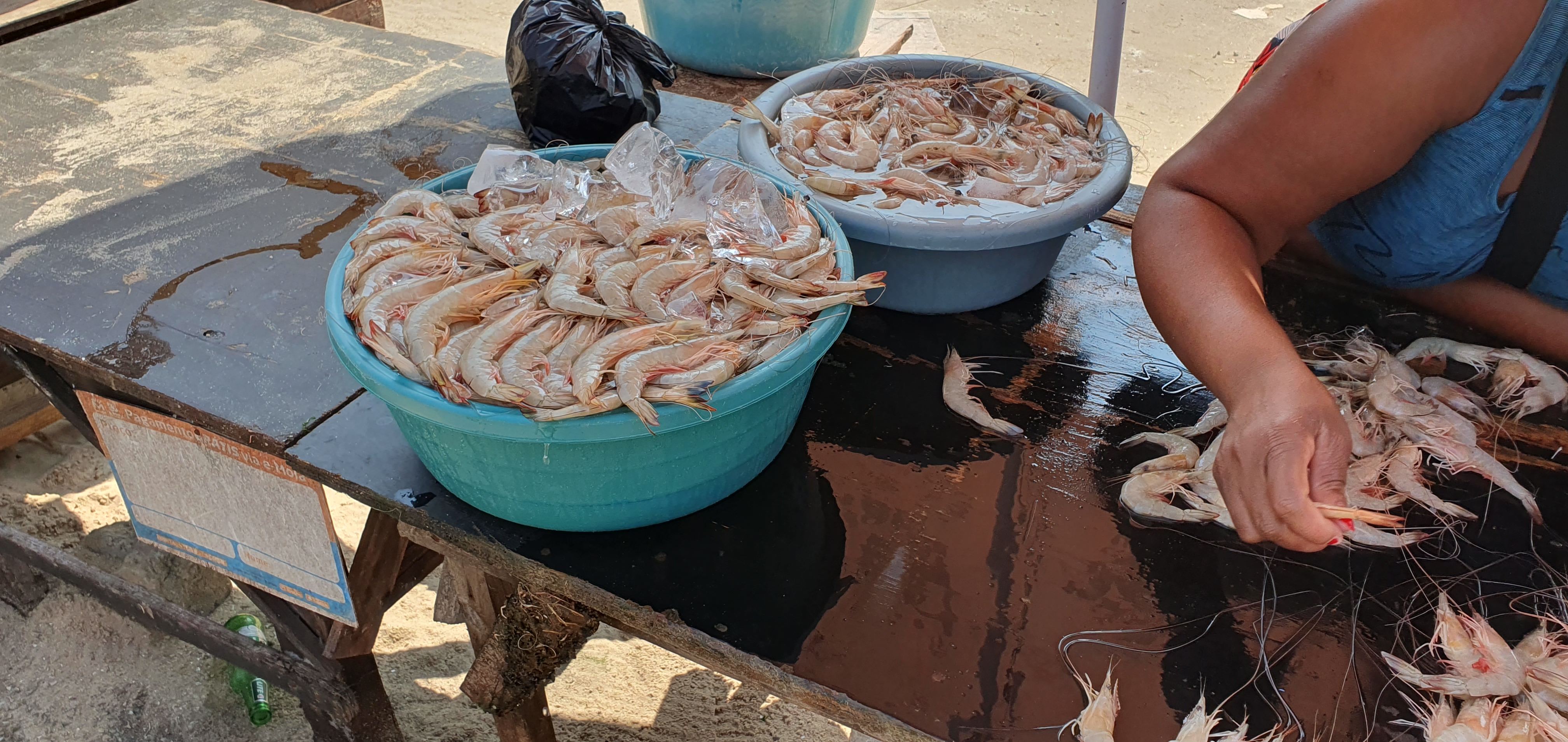 Shrimps preserved in ice. Restaurants near the beach sell ice blocks to the fishers. For an estimated 5kg catch, the cost is slightly more than USD1.