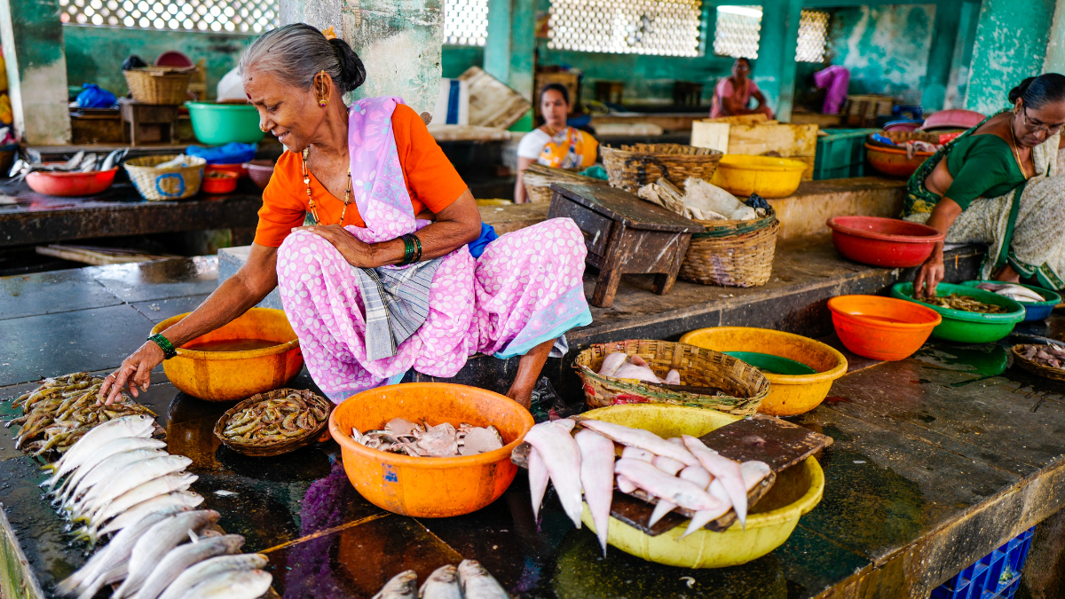 Improving revenues within aquatic food supply chains is pertinent to delivering higher returns on investments in India. Photo by WorldFish. 