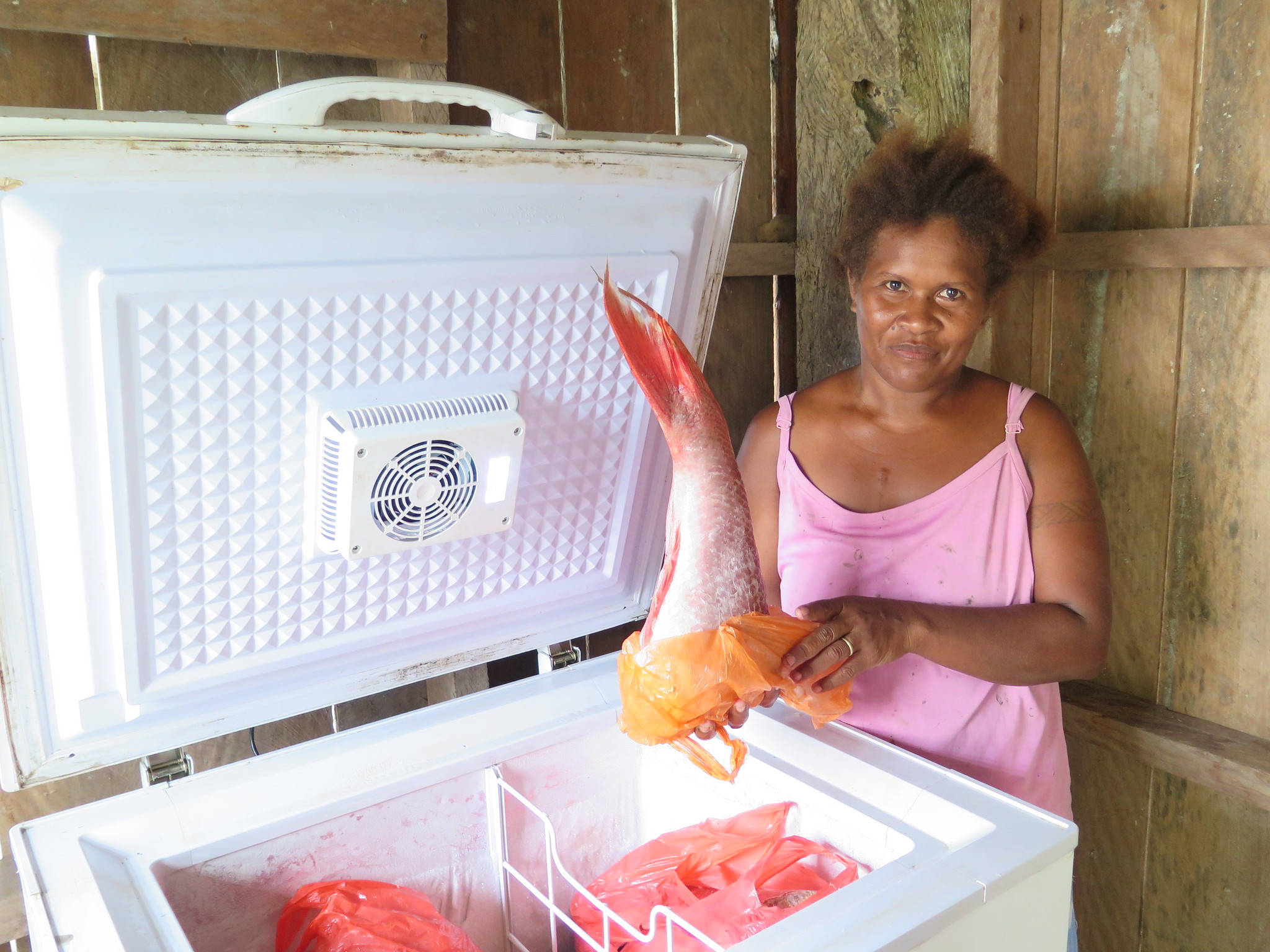 Woman in Surairo, Solomon Islands holds up fish from a solar freezer. Photo by Hampus Eriksson.