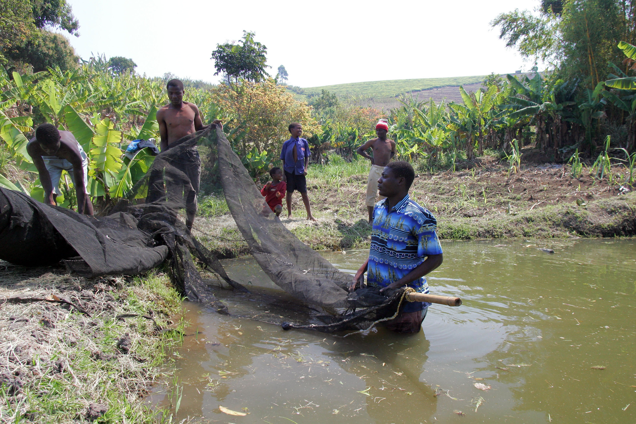 Small-scale fisheries in Malawi 