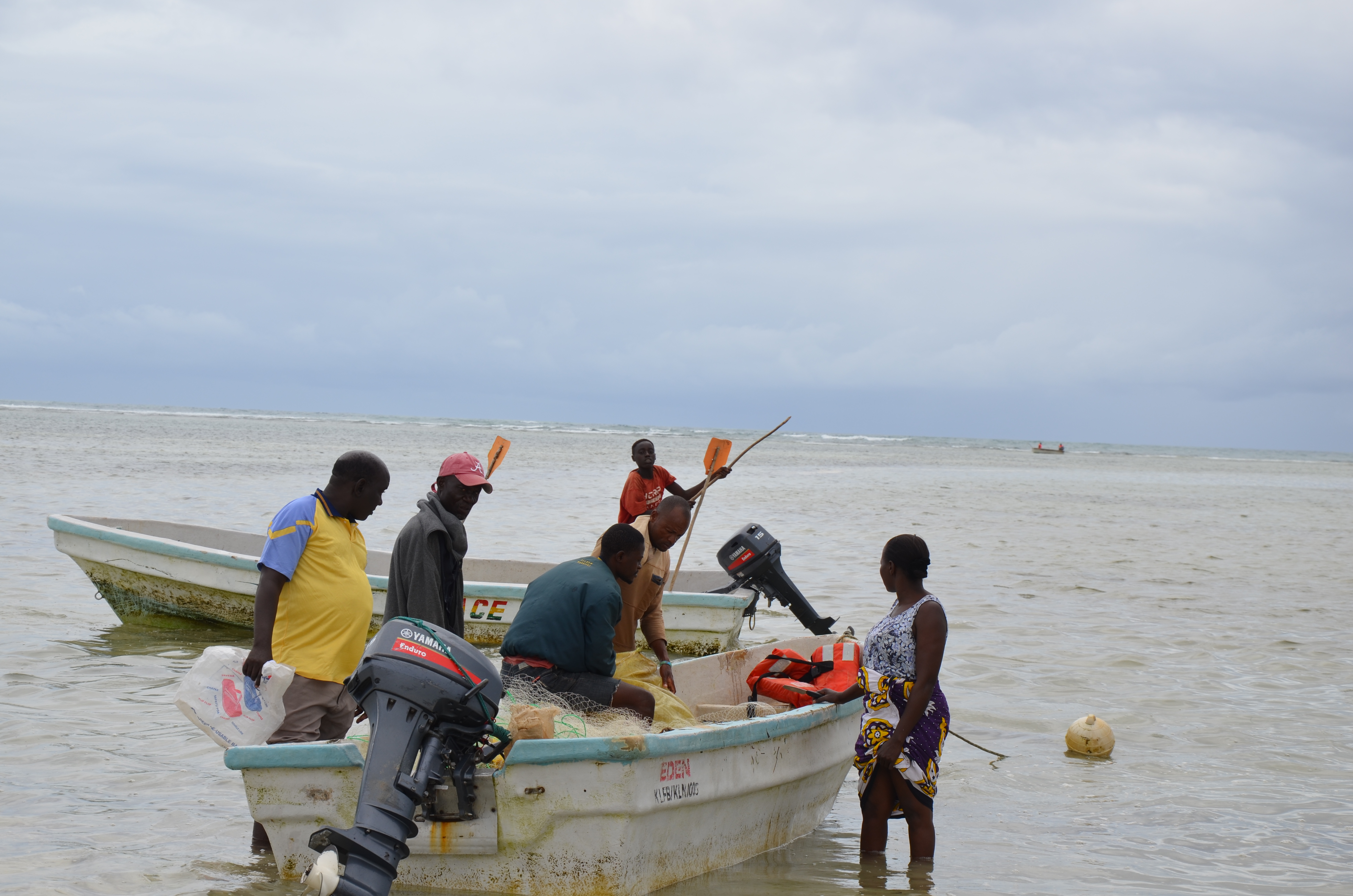  Salim and his colleagues sell their catch directly at the beach to a group of women, under the supervision of the boat owner.Today, the net is full of barracuda and michorochoro or keeltail needlefish. September to December is usually a good fishing season for Kanamai fishers. 
