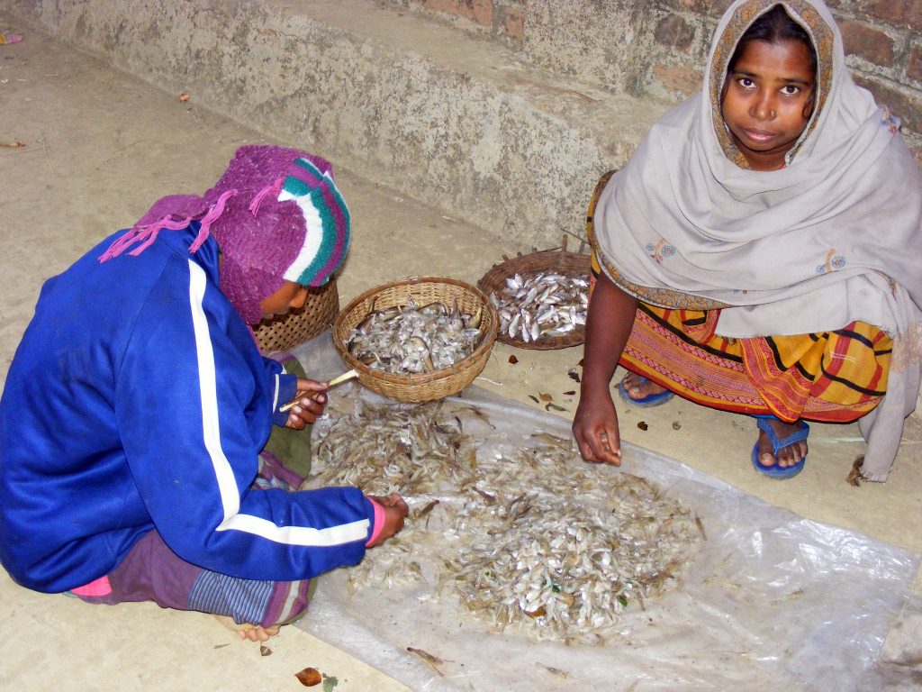 Sorting through the dried fish, Bangladesh. Photo by Martin Van Brakel.
