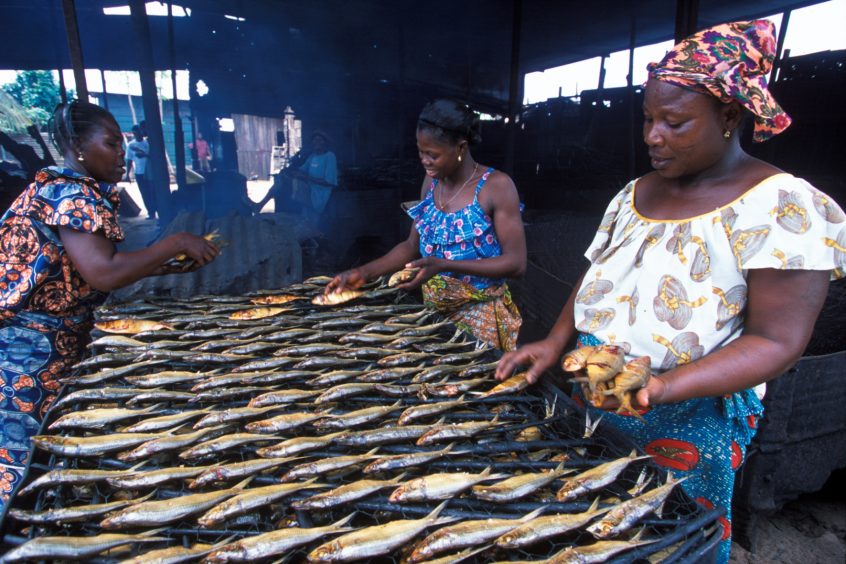 African women join forces to overcome COVID-19 challenges in aquatic food  systems